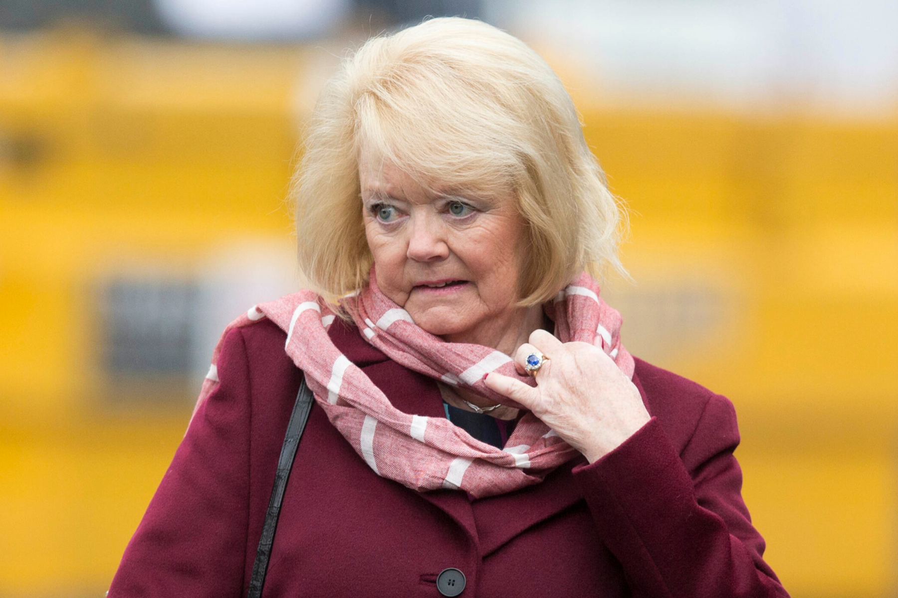 SPFL vote: Hearts chief Ann Budge ‘disillusioned and bitterly disappointed’ after Dundee’s controversial call