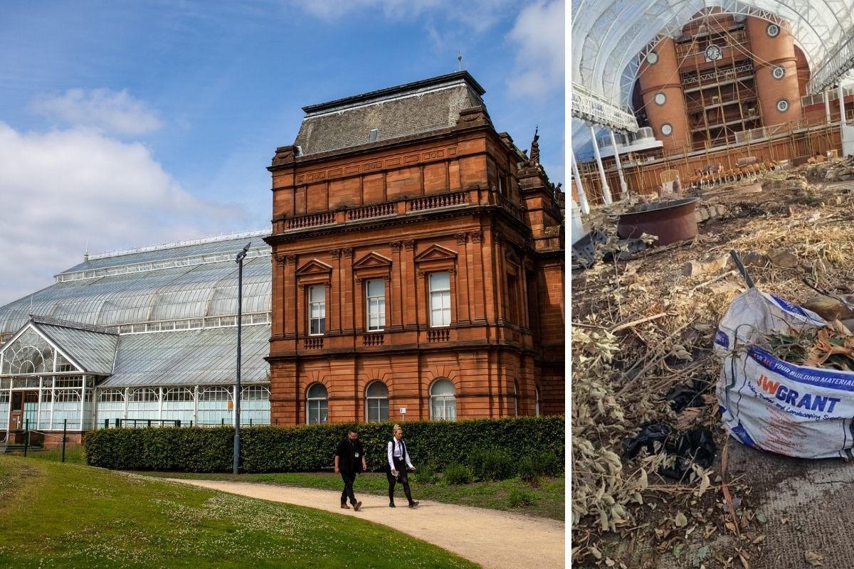 An image emerged last year of the inside of the Winter Gardens